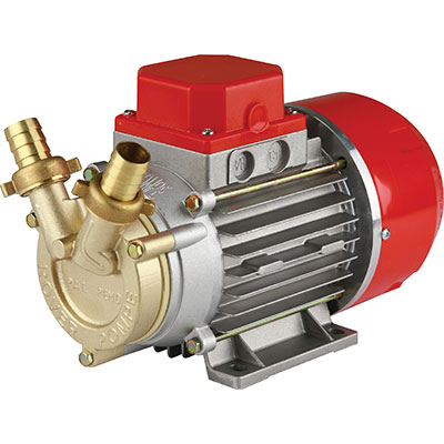 ELETTROPOMPA TRAVASO OTTONE CE ROVER